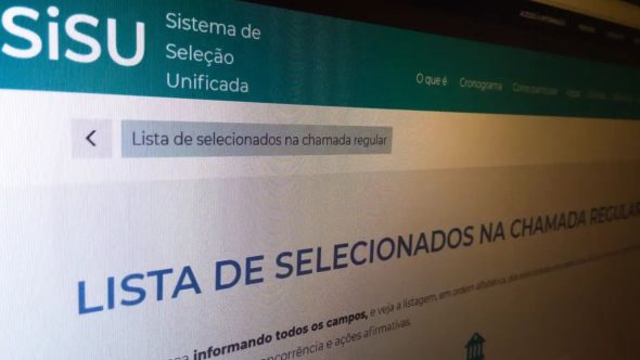 Sisu